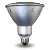 PAR Reflector CFL Bulbs