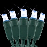 LED Christmas lights cool white 12volts AC / DC 50ft Specifically for Landscape lighting systems